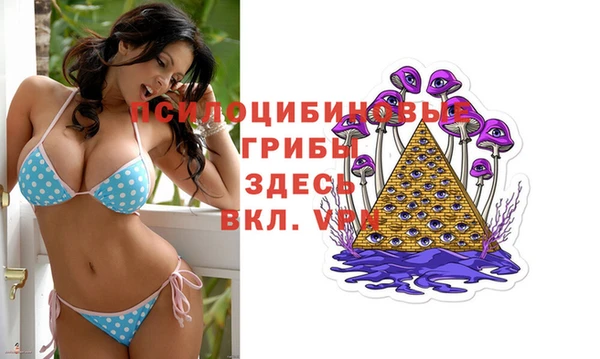 дживик Волоколамск